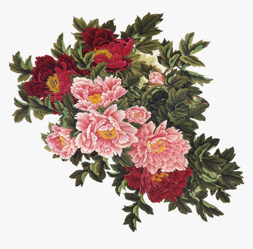 Flower Uc544uc774ub514uc5b4 Clip Art, HD Png Download