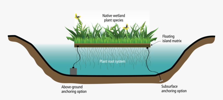 Wetlands Drawing Grass, HD Png Download