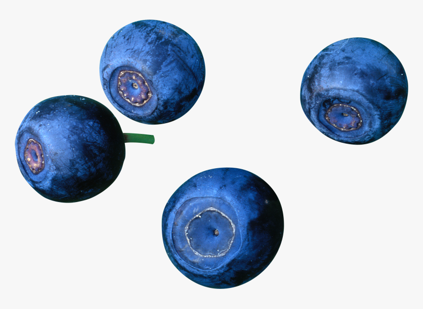 Blueberries, HD Png Download