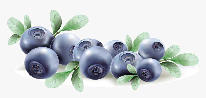 Blueberries Png, Transparent Png