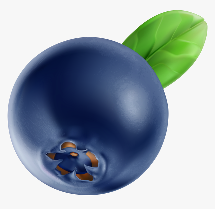 Clip Art Image Gallery, HD Png Download