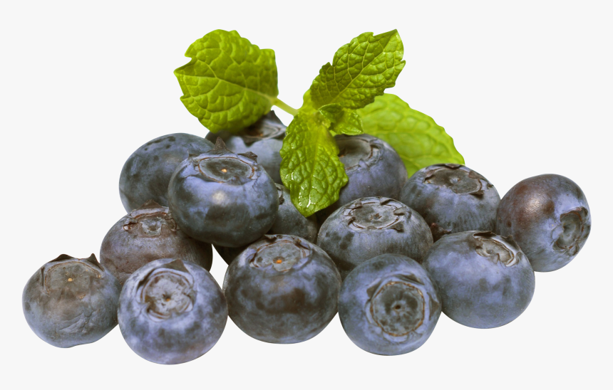 Blueberries Png, Transparent Png