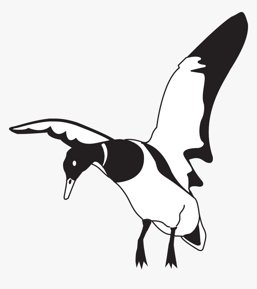 Black Wings Png, Transparent Png