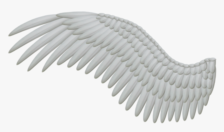 Download Wings Png Hd 488, Transparent Png