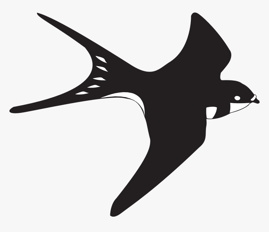 Black Wings Png, Transparent Png