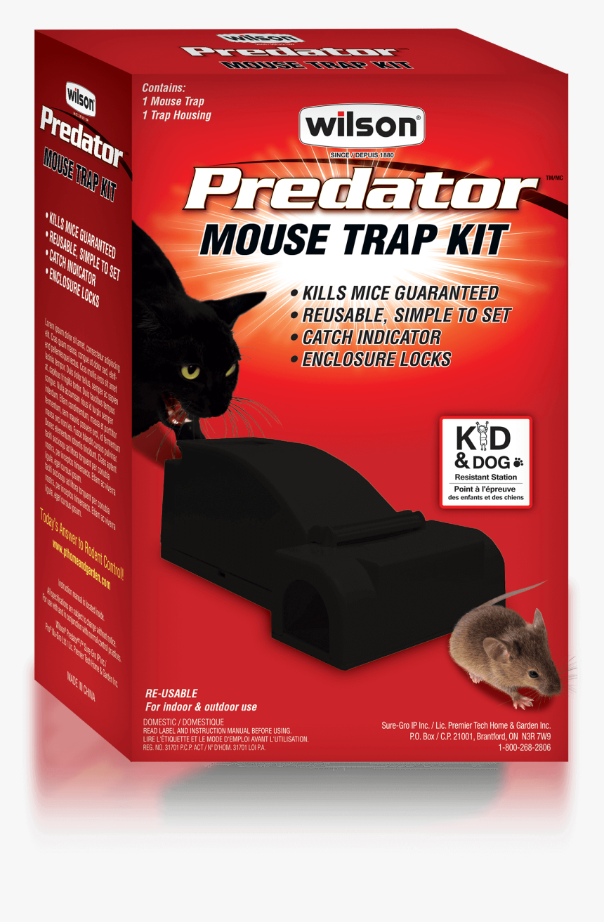 Transparent Mouse Animal Png, Png Download