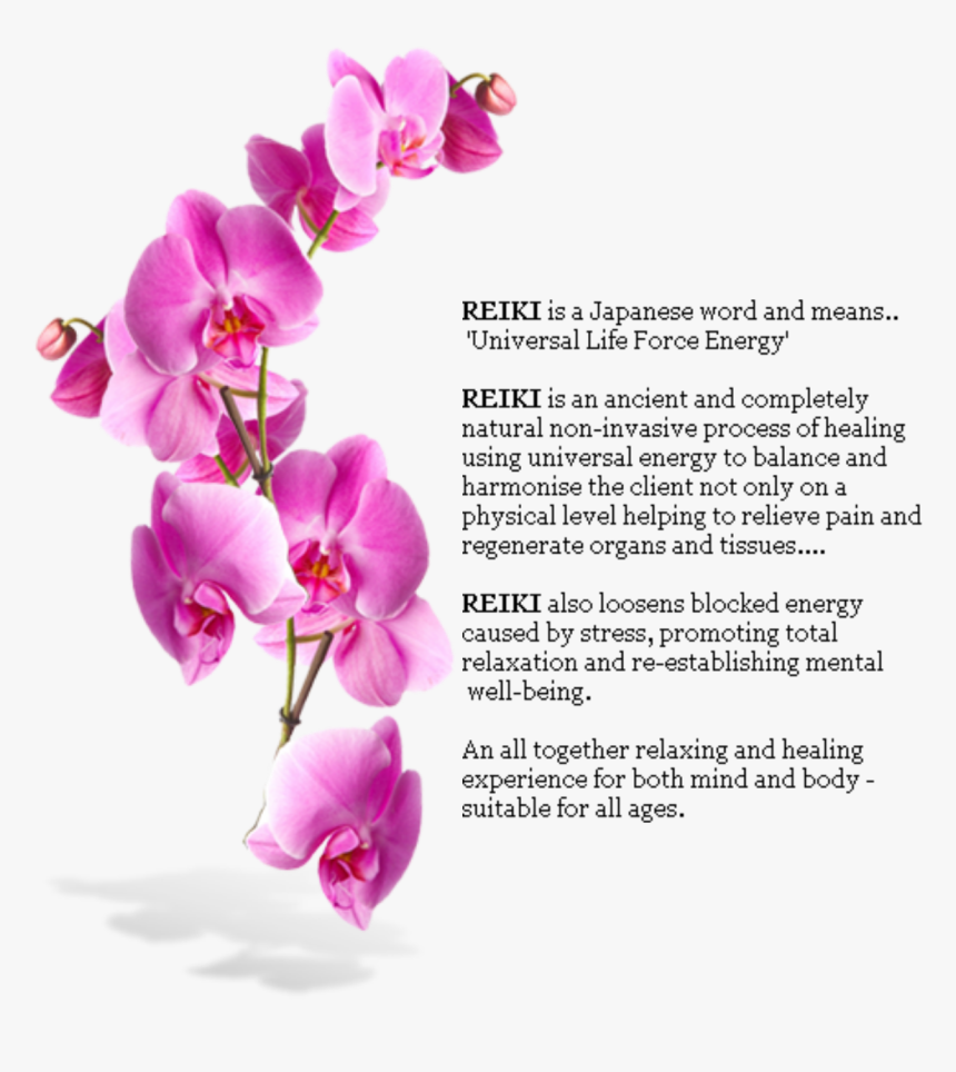 Orchids Mural, HD Png Download