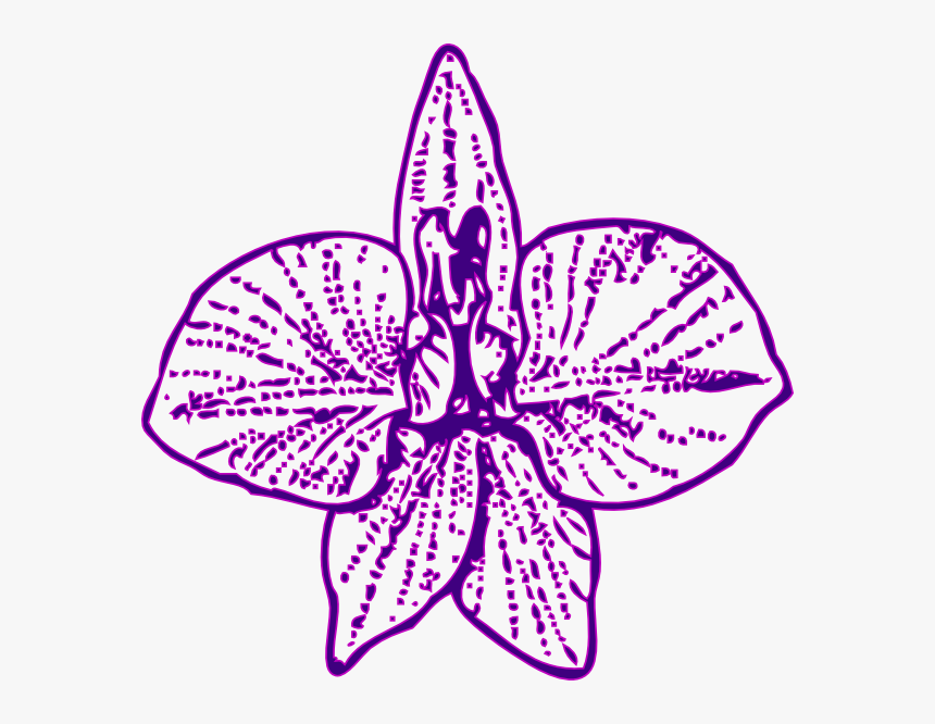 Orchid Png, Transparent Png
