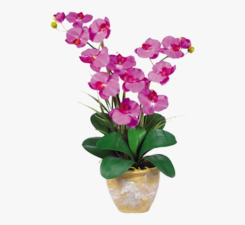 Orchid Double Stem Phalaenopsis Silk Orchid Arrangement, HD Png Download