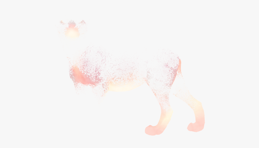 Orchid Png, Transparent Png