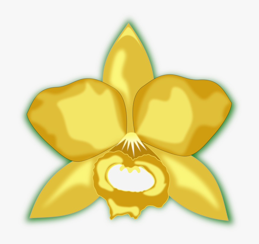 Plant,flora,symmetry, HD Png Download