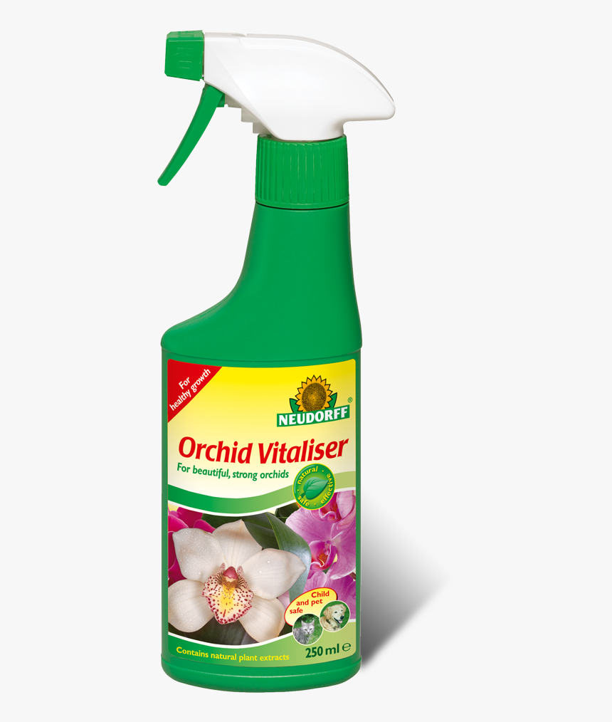 Orchid Clip Art, HD Png Download