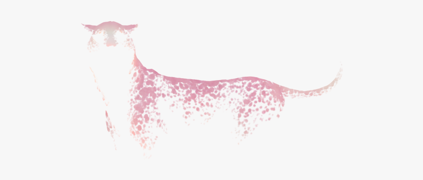 Orchid Png, Transparent Png