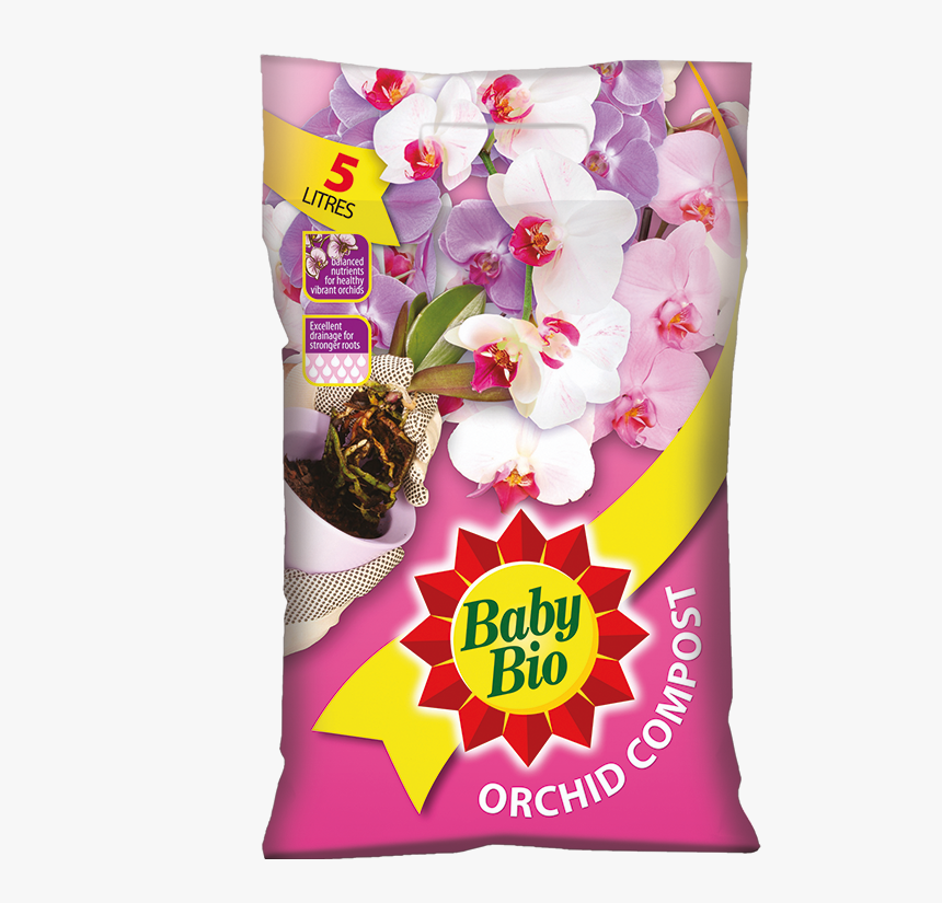 Orchid Png, Transparent Png