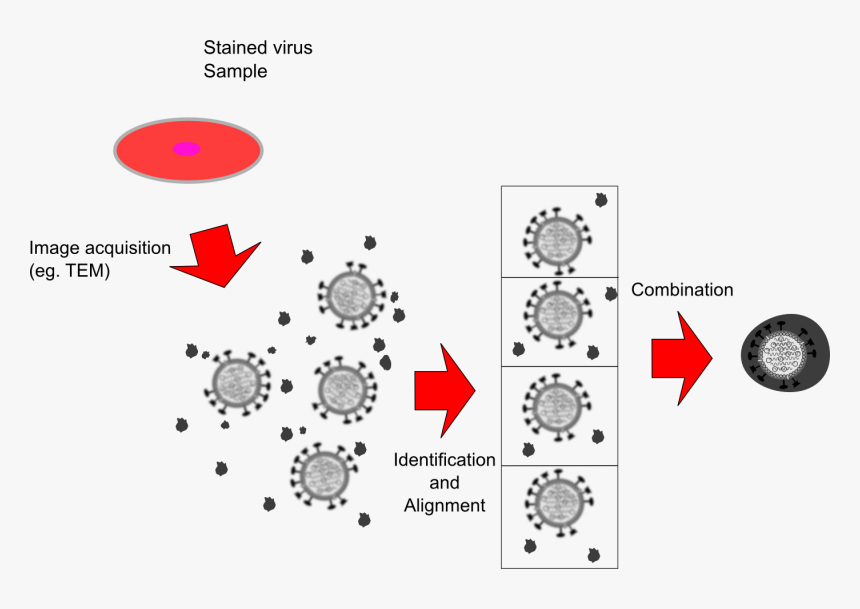 Particle Png, Transparent Png