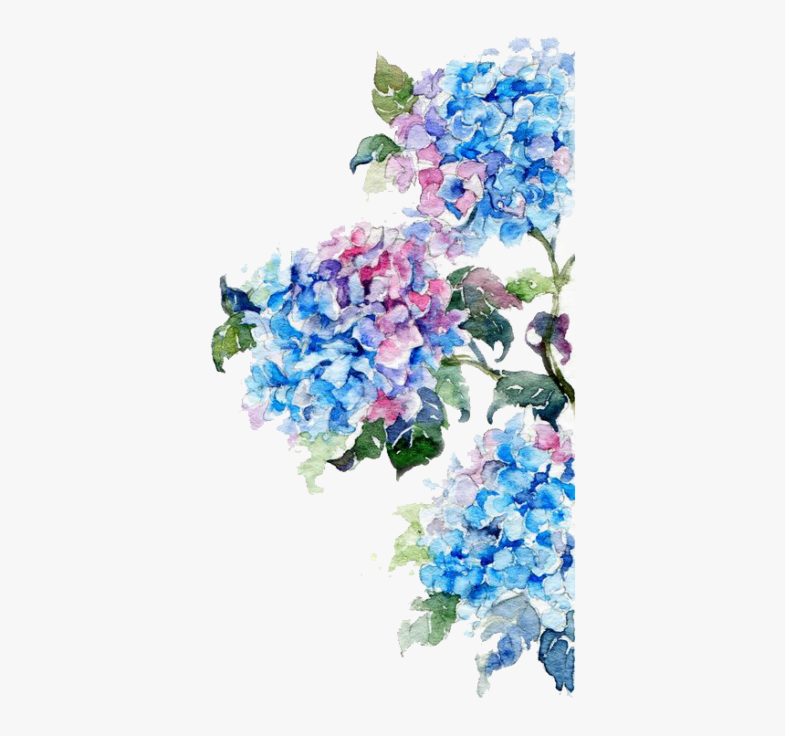 Watercolor Painting Flower Drawing Watercolor Flowers, HD Png Download