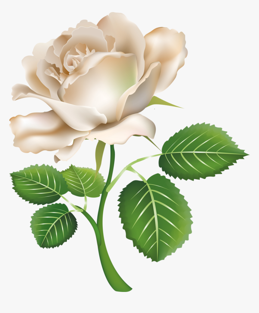 Flôres Watercolor Rose, Blue Flowers, Flower Art, Flower, HD Png Download