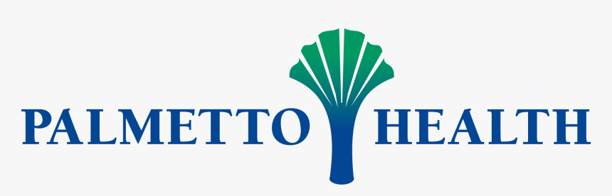 Health Icon Png, Transparent Png