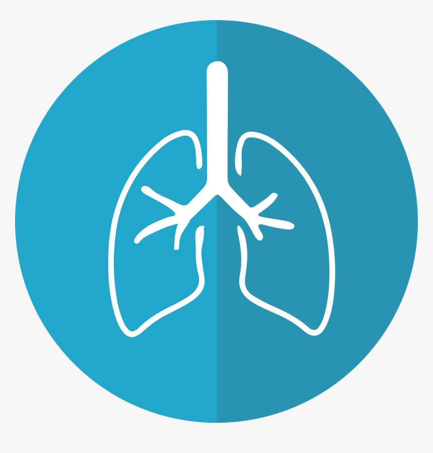 Beacon Clipart Transparent, HD Png Download