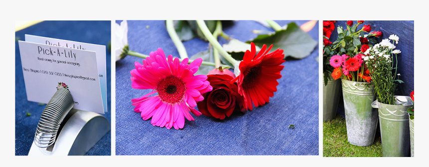 Gallery/home, HD Png Download