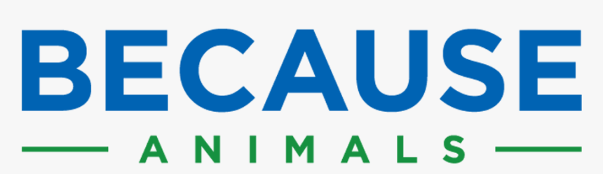 Picture, HD Png Download