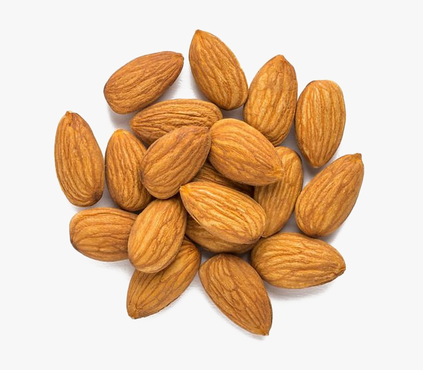 Nut Png Image Background, Transparent Png