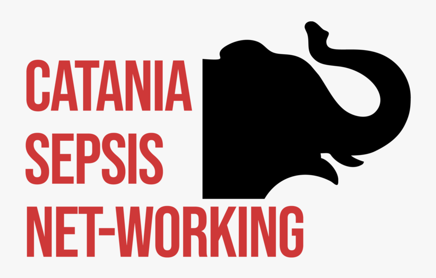 Sepsi-06, HD Png Download