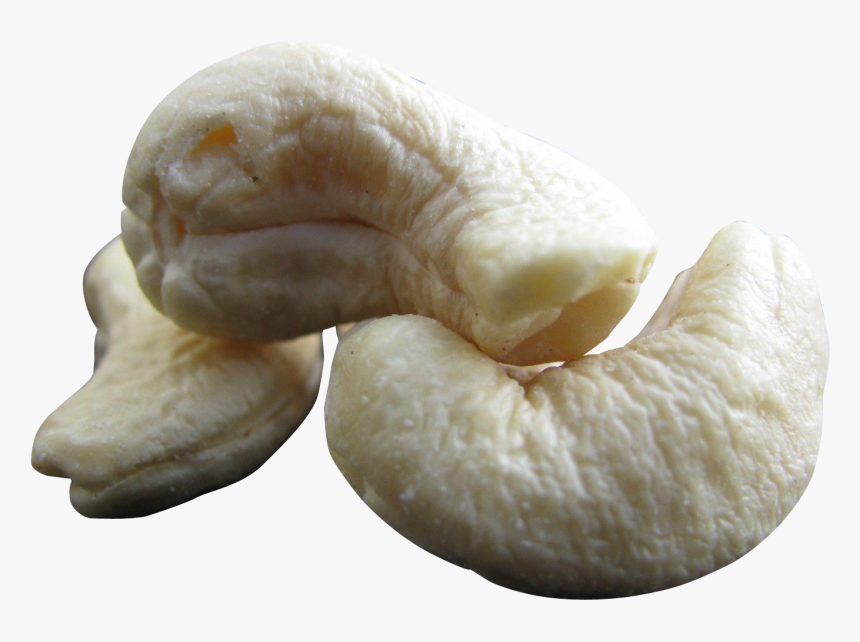 Cashew Nut Png Transparent Image, Png Download