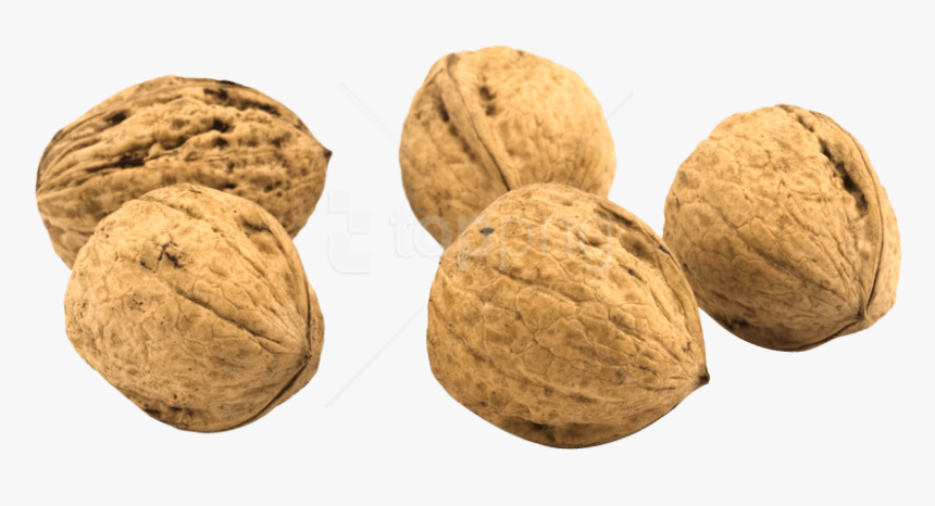 Nut,walnut,nuts &, HD Png Download