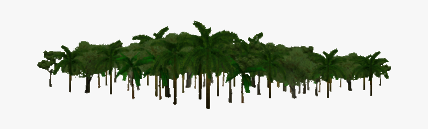 Jungle Transparent Background Png Download, Png Download