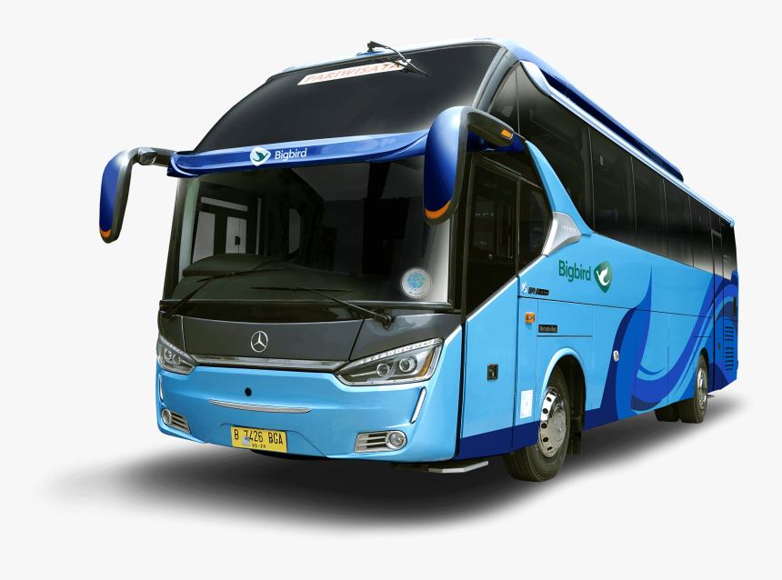 Big Bird Png, Transparent Png