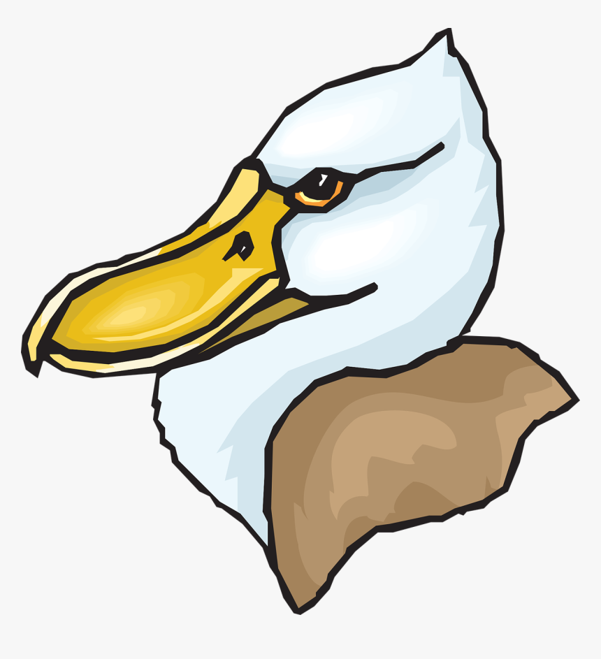 Big Bird Png, Transparent Png
