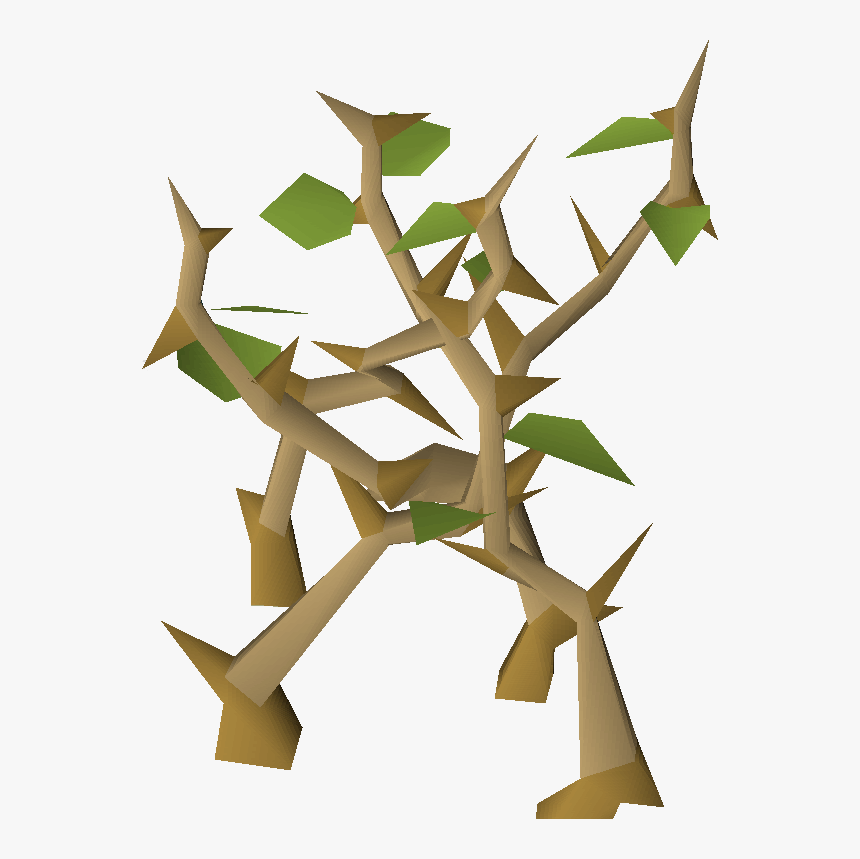 Jungle Png, Transparent Png