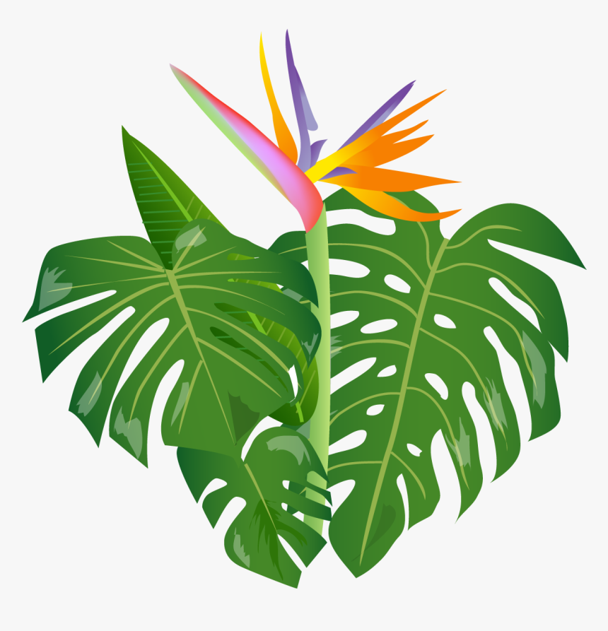Jungle Leaf Png, Transparent Png