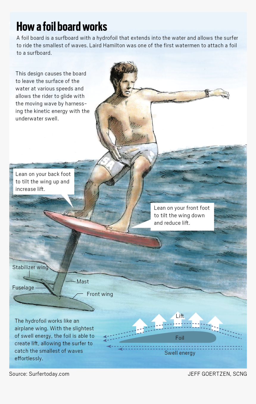 Surfer Png, Transparent Png