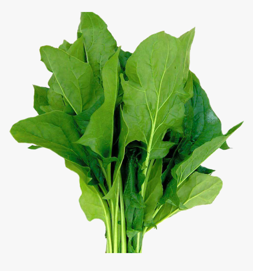 Spinach Png, Transparent Png