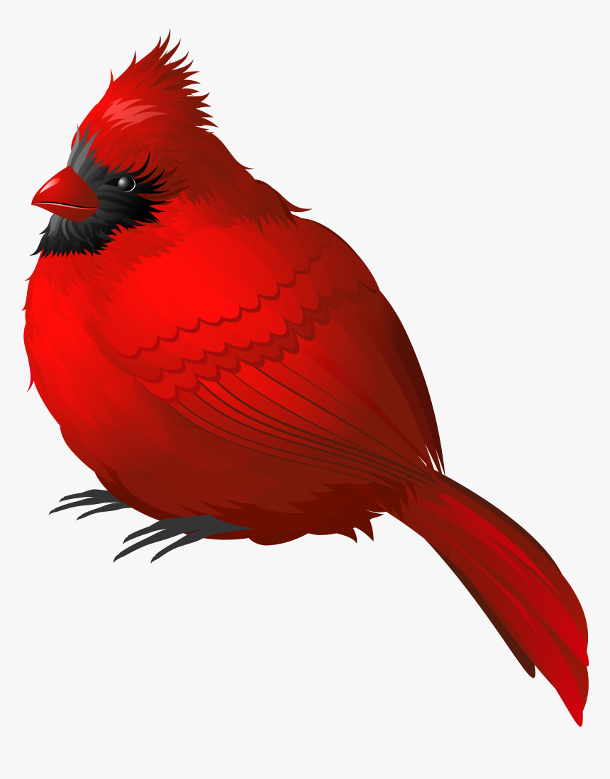 Red Winter Bird Png Clipart Image, Transparent Png