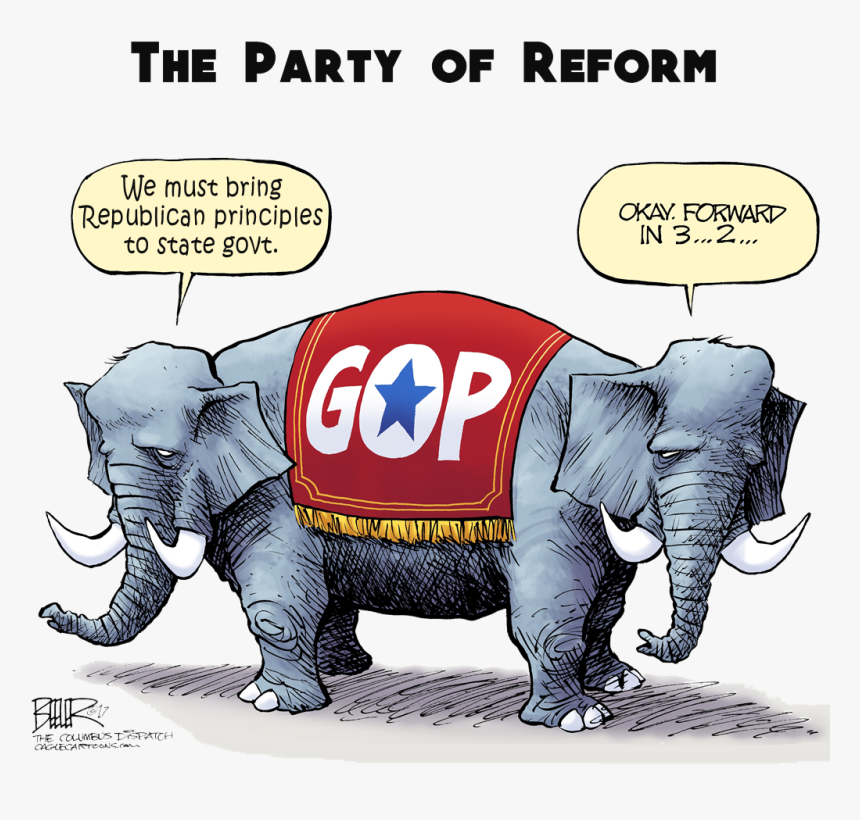 Picture, HD Png Download