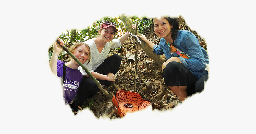 Jungle Png, Transparent Png