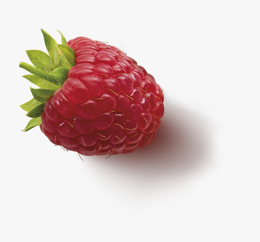 Fruitinfusion Forestfruit Ingredient2 Raspberry, HD Png Download