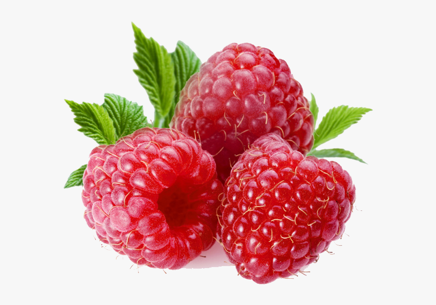 Download Raspberry Transparent Png For Designing Purpose, Png Download