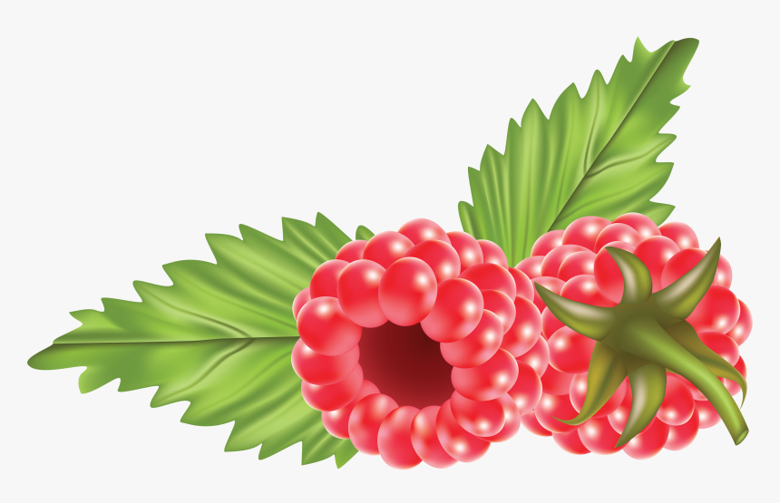 Rraspberry Png Image, Transparent Png