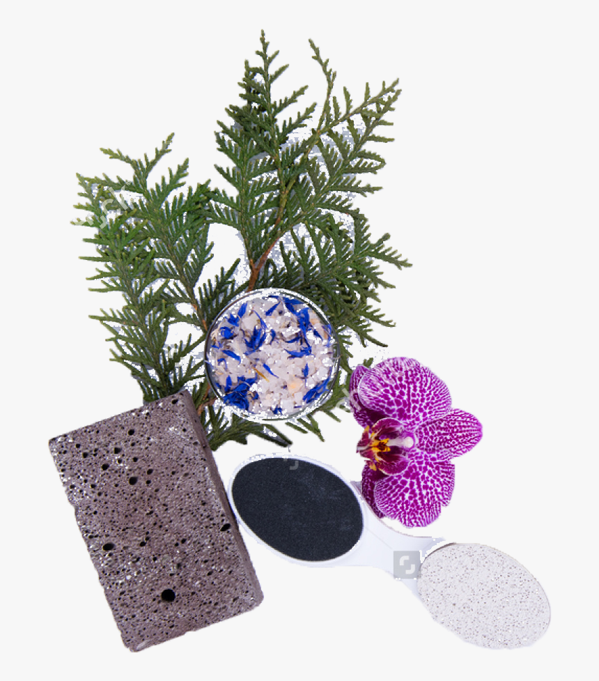 Nails-2, HD Png Download