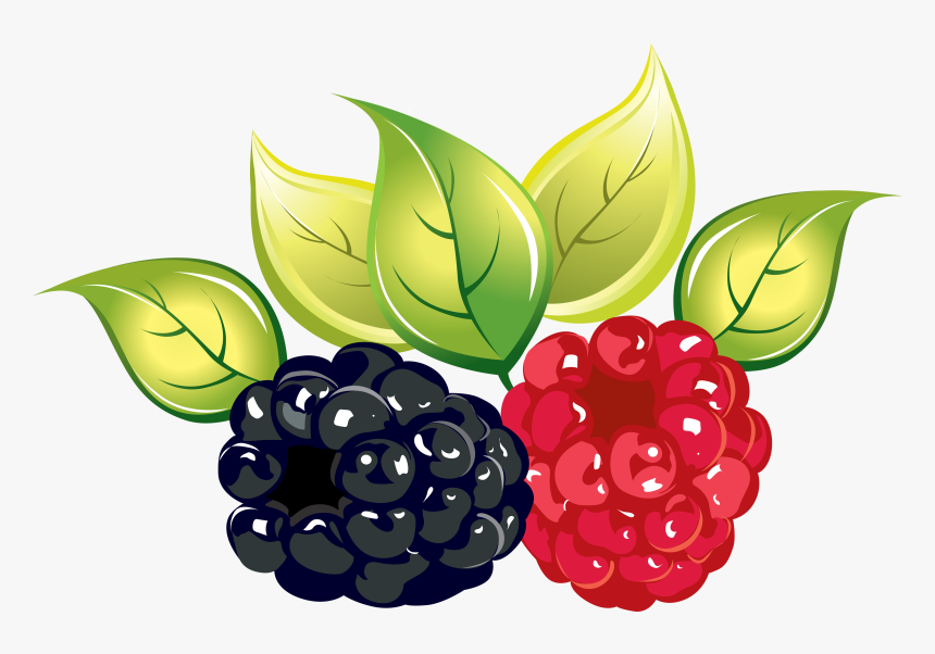 Raspberry Png, Transparent Png