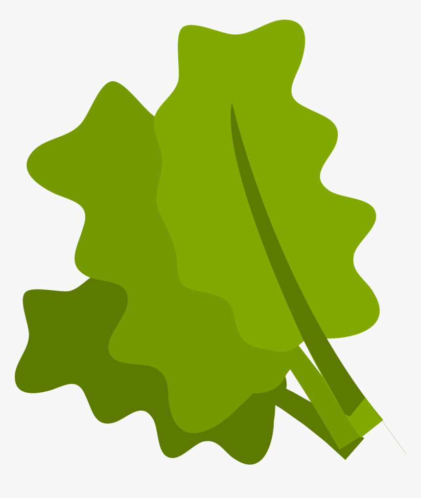 Spinach Png, Transparent Png