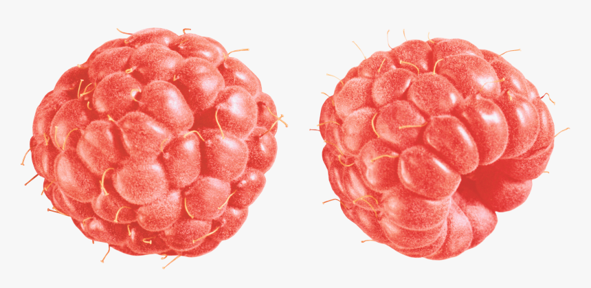 Raspberry Duo Vintage, HD Png Download