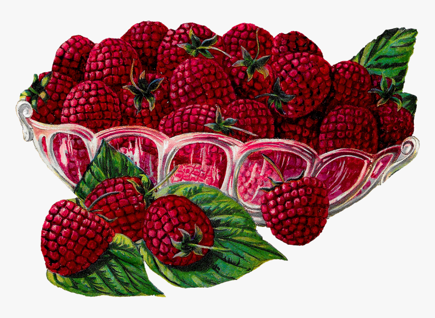 Transparent Raspberries Png, Png Download