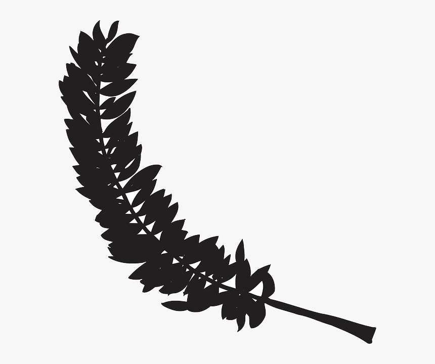 Bird Feather Clip Art, HD Png Download