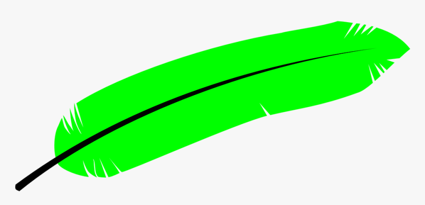 Feather, Bird, Wings, Green, Animal, Nature, Fauna, HD Png Download