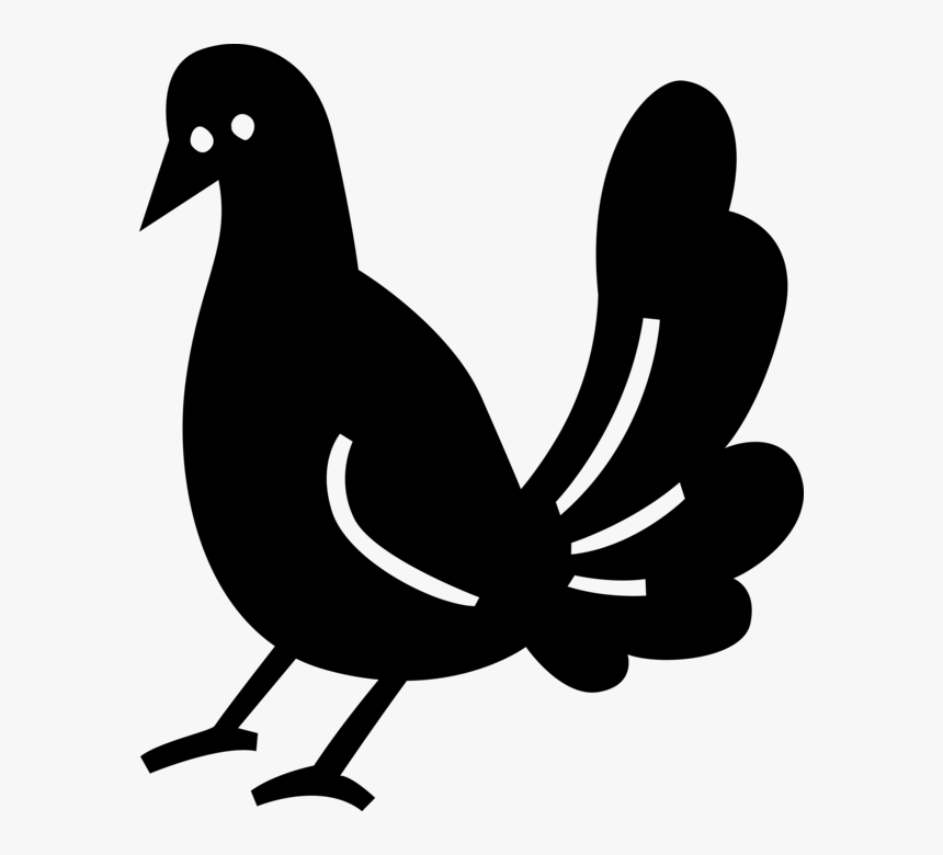 Vector Illustration Of Feathered Bird With Large Plumage, HD Png Download